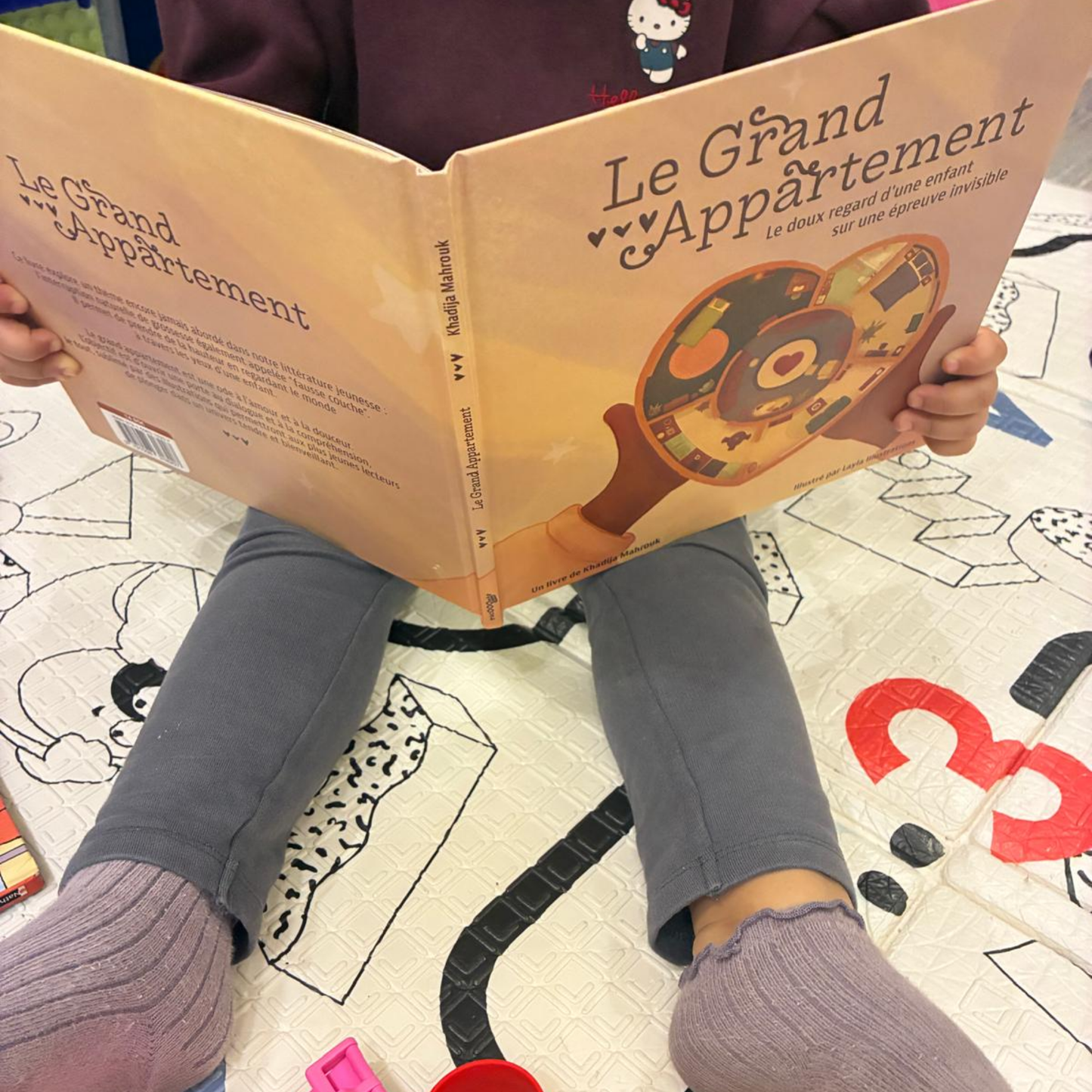 Livre jeunesse | Le grand appartement